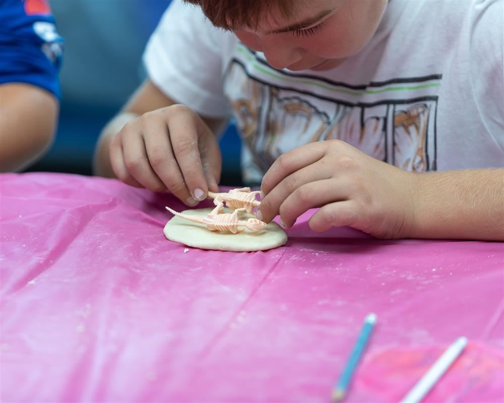  A student presses a toy dinosaur into their mold to create a fossil.